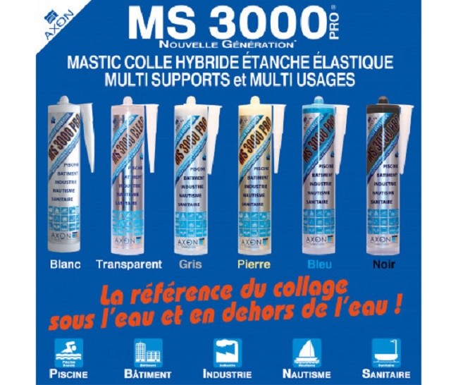 MS3000 gris